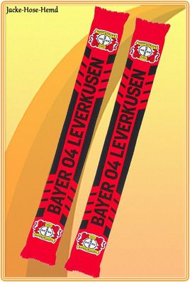 Schal Bayer 04 Leverkusen Logo Löwe Profil B04 Fanartikel Wendeschal Gr. 156x20cm NEU