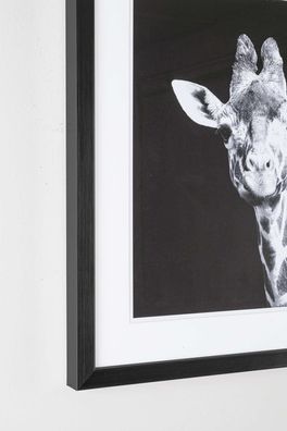 Bizzotto - Bild Giraffe, 50x50 cm