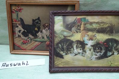 alte Holz-Bilderrahmen Bilder Katzen Hunde Welpen Babys ca 25,5 x 19,5cm Glasscheibe
