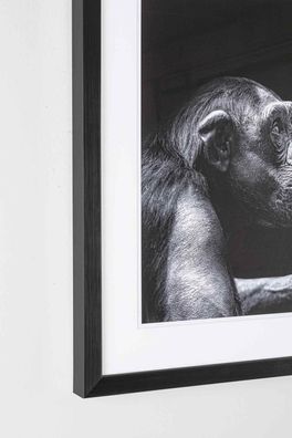 Bizzotto - Bild Monkey, 50x50 cm