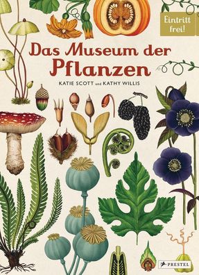 Das Museum der Pflanzen | Eintritt frei! | Katie Scott (u. a.) | Buch | 98 S