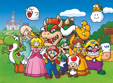 Super Mario Fun