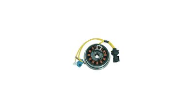 SGR Lichtmaschine Kokusan 170 Wa