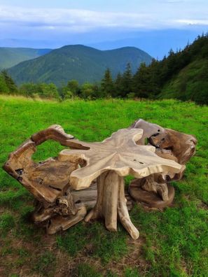 Wurzelholz Tisch Teak Wurzelholz Sitzgruppe Baumscheibe