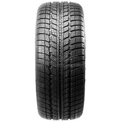 Fortuna Winter-Reifen 225/60 R17 99H Winter SUV 3PMSF (99T 94S 98H 94T) | 56799