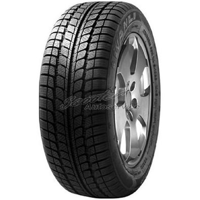 Ganzjahresreifen Sunny 205/50 R17 93W NC-501 3PMSF XL (93V 89V 93H 88W) | 60711