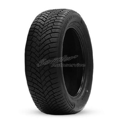 Double Coin Allwetter-Reifen 225/45 R17 94Y DASP Plus 3PMSF XL (91V 91W) | 53738