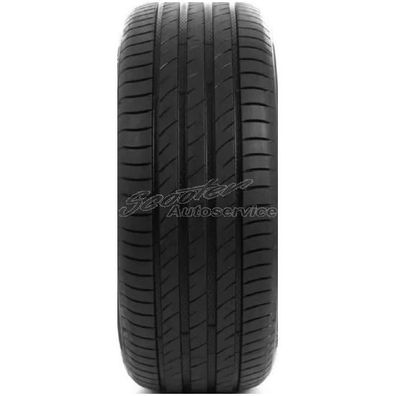 Delinte Sommerreifen 205/60 R16 92V DS-2 (83V 83H 87V 87H 91V 91H 91T) | 91842