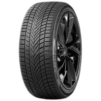 Ganzjahresreifen Berlin Tires 195/65 R15 91H All Season 2 3PMSF XL (85H) | 78065