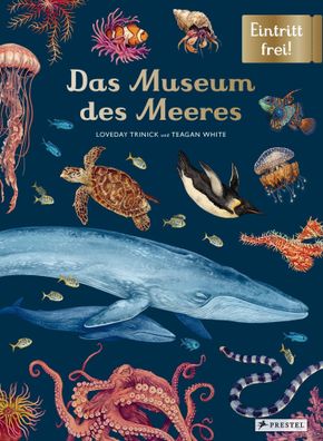 Das Museum des Meeres | Eintritt frei! | Loveday Trinick (u. a.) | Buch | 112 S