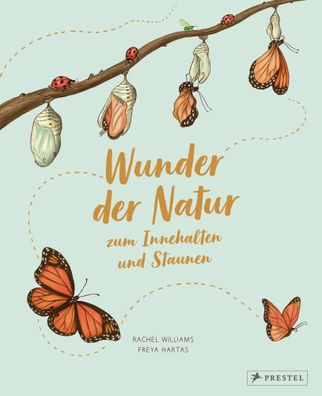 Wunder der Natur zum Innehalten und Staunen | Rachel Williams (u. a.) | Buch