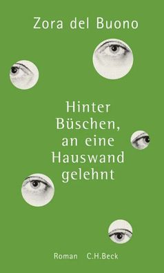 Hinter Büschen, an eine Hauswand gelehnt | Roman | Zora Del Buono | Buch | 2016
