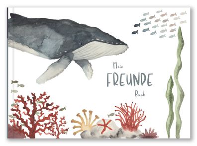 Freundebuch Kindergarten und Schule - Meer | elliet | Buch | Gebunden | Deutsch