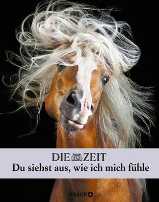 Die Zeit. Du siehst aus, wie ich mich fühle | Malin Schulz | Buch | 160 S