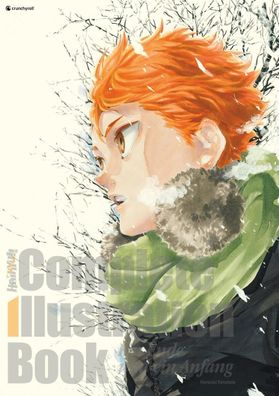 Haikyu!! Complete Illustration Book - Ein Ende und ein Anfang | Furudate | Buch