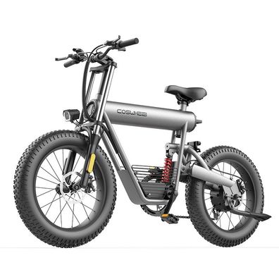 E-bike Kompaktfahrrad 20 Zoll Fat Tire E-mountainbike mit 500W Motor