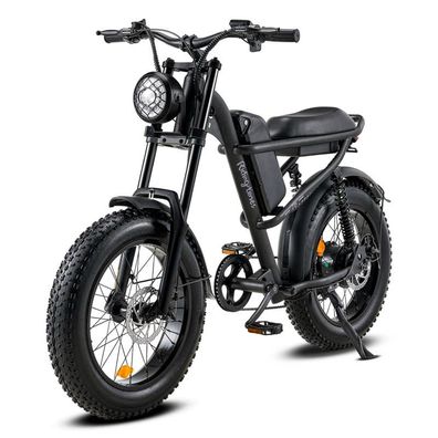 E-MTB 20 Zoll Fat Tire 500W Motor 48V 15Ah Akku E-Bike Mountainbike LCD-Display