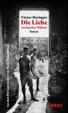 Die Liebe vereinzelter Männer | 'Wirklich ein einzigartiger Roman.' Zadie Smith