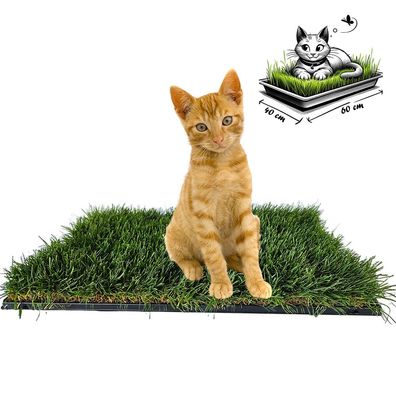 Katzenwiese 60x40cm mit Untertasse - GartenChamp Nr.1®