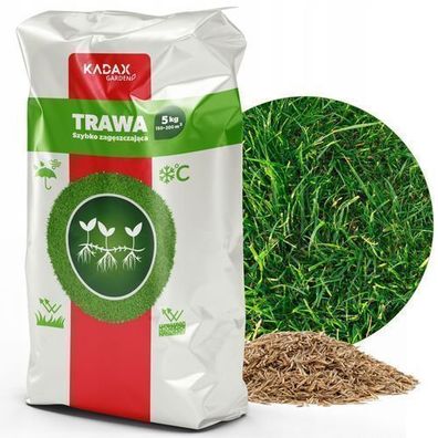 KADAX Rasensamen, Grassamen, schnellwachsendes Gras, Rasenpellets, 5 kg