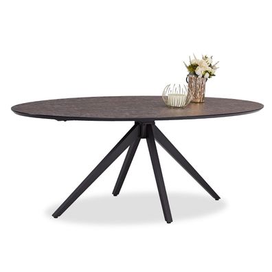 Esstisch Oval Wohnzimmertisch Tisch Esszimmertisch Metall Schwarz Braun Massiv