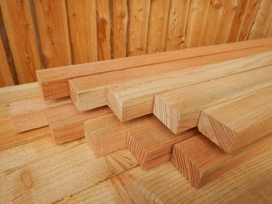 20x Zaunlatte LÄRCHE HOLZ LATTEN Lattenzaun Holzzaun 30x50 mm 3x5 200cm