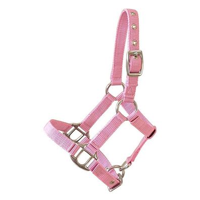 Miniline, Nylonhalfter ''Petit'' Gr. 4 Minishetty groß pink