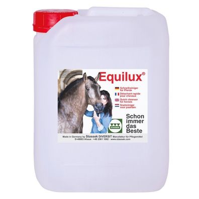 Equilux Schnellreiniger, 10 lit. Kanister
