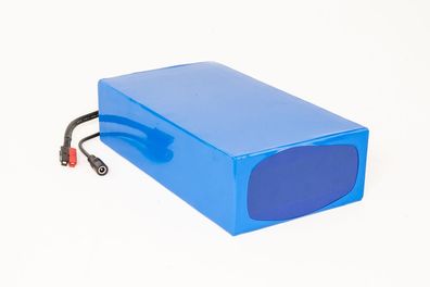 Lithium-Ionen Akku 24V 30Ah 720Wh Akkupack incl. 20A BMS & Ladegerät für Scooter