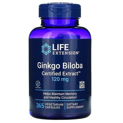 Ginkgo Biloba, Certified Extract, 120mg - 365 vcaps