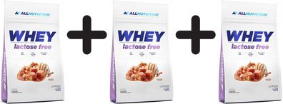 3 x Allnutrition Whey Lactose Free, Strawberry Cheesecake - 700g