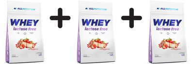 3 x Allnutrition Whey Lactose Free, Strawberry Cheesecake - 700g
