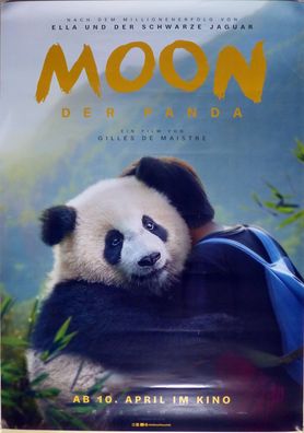 Moon, der Panda - Original Kinoplakat A0 - Teasermotiv - Noé Liu Martane - Filmposter