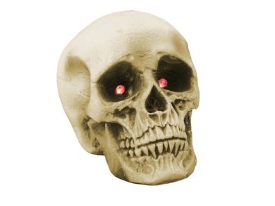 Europalms Halloween Schädel 21x15x15cm LED