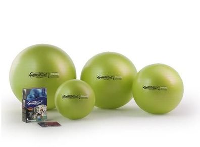 Pezzi-Ball Maxafe im Polybeutel Ø 65 cm acid green