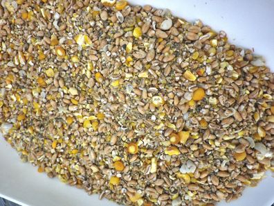 Hühnerfutter Legehennen Premium Extra Grob gegen rote Vogelmilbe 25kg