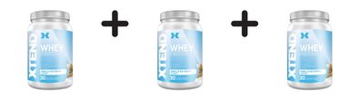 3 x Xtend Whey Protein (810g) Vanilla Ice Cream