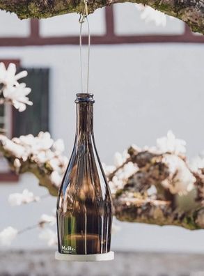 Sekt Hänge Windlicht - witzig - egal ob innen oder außen