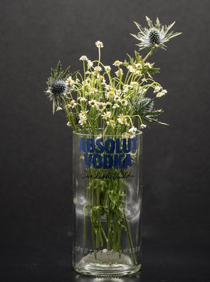 Coole Vase aus der Absolut Flasche - witzig & funktionell