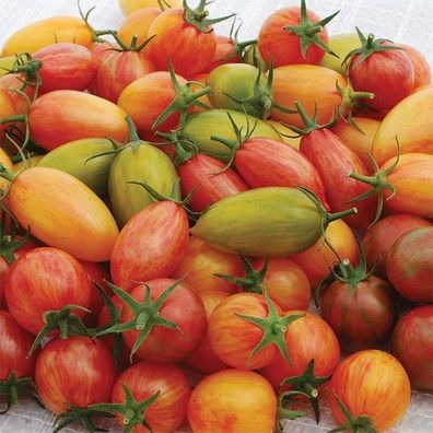 Gestreifte Tomaten Samenmischung 20+ Samen P 617