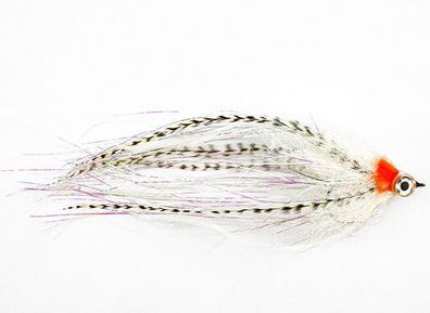 Hechtstreamer