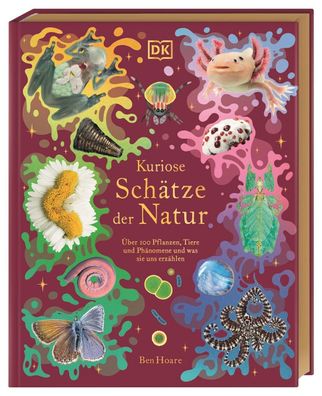 Kuriose Schätze der Natur | Ben Hoare | Buch | Cover mit Folienveredelung | 2024