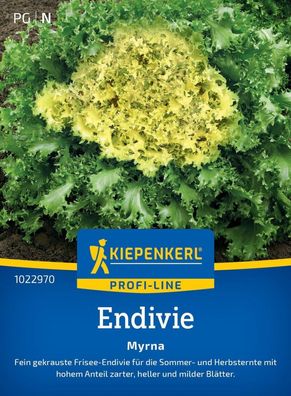 Endivie Myrna, fein gekrauste Frisee-Endivie - für Sommer- u. Herbsternte