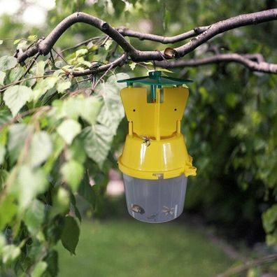 Käferfallenset Trichterfalle und Pheromon zum effektiven Fang vom