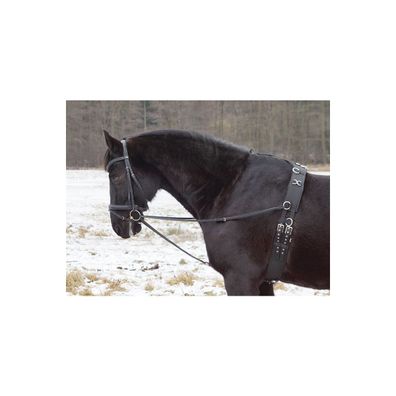 Dreieckszügel - Wienerzügel schwarz Pony