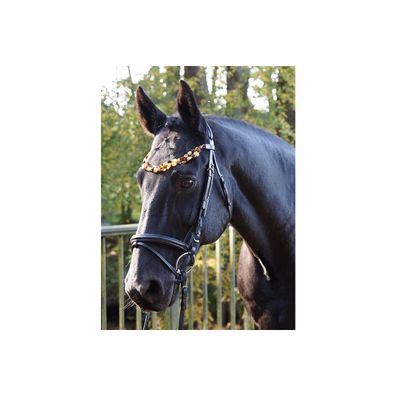 Bernsteintrense "German Riding" Luxury Shetty
