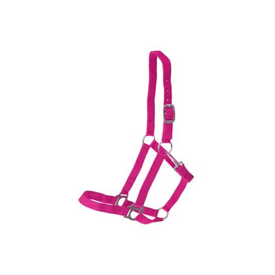 Kunststoffhalfter "Meadow" pink Cob