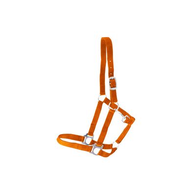 Kunststoffhalfter "Meadow" orange Cob
