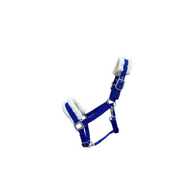 Kunststoffhalfter "Teddy" royal blau Cob