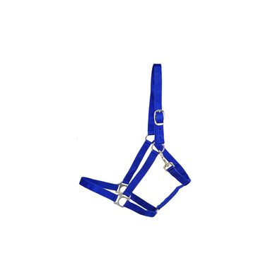 Kunststoffhalfter "Economic" Full royalblau
